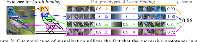 Figure 3 for LucidPPN: Unambiguous Prototypical Parts Network for User-centric Interpretable Computer Vision