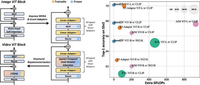 Figure 1 for ZeroI2V: Zero-Cost Adaptation of Pre-trained Transformers from Image to Video