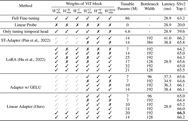 Figure 4 for ZeroI2V: Zero-Cost Adaptation of Pre-trained Transformers from Image to Video