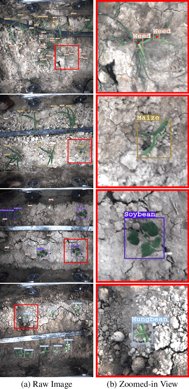 Figure 3 for Towards Efficient and Intelligent Laser Weeding: Method and Dataset for Weed Stem Detection