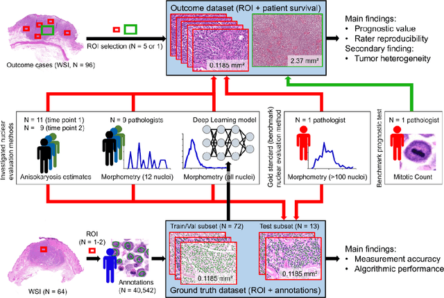 Figure 2 for Nuclear Morphometry using a Deep Learning-based Algorithm has Prognostic Relevance for Canine Cutaneous Mast Cell Tumors