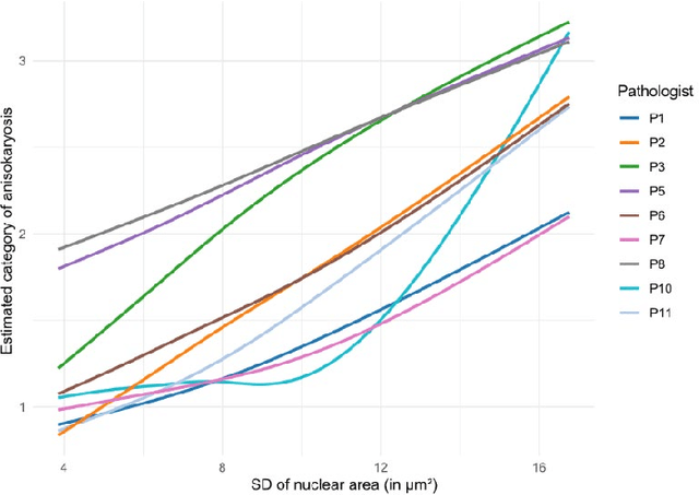 Figure 3 for Nuclear Morphometry using a Deep Learning-based Algorithm has Prognostic Relevance for Canine Cutaneous Mast Cell Tumors