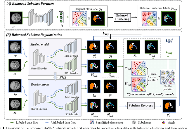 Figure 1 for BASIC: Semi-supervised Multi-organ Segmentation with Balanced Subclass Regularization and Semantic-conflict Penalty