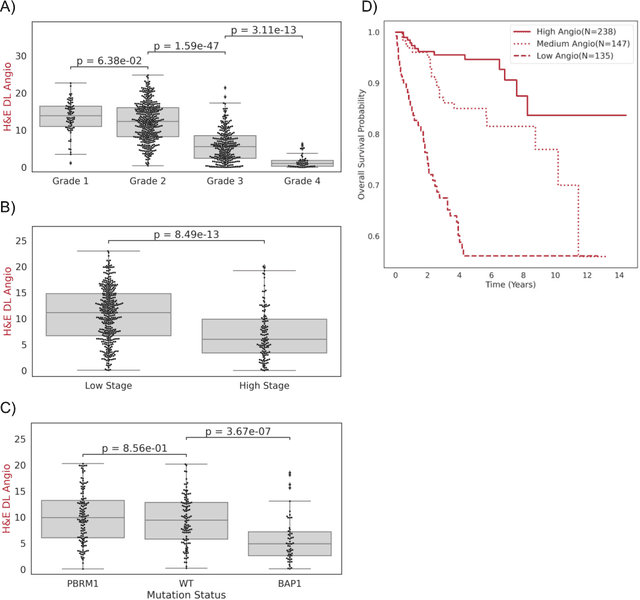 Figure 3 for Histopathology Based AI Model Predicts Anti-Angiogenic Therapy Response in Renal Cancer Clinical Trial