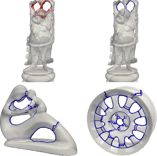 Figure 1 for Geometric Localization of Homology Cycles