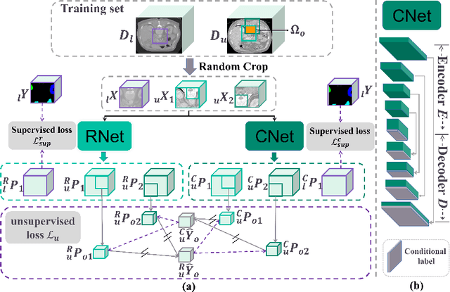 Figure 1 for C$^3$PS: Context-aware Conditional Cross Pseudo Supervision for Semi-supervised Medical Image Segmentation