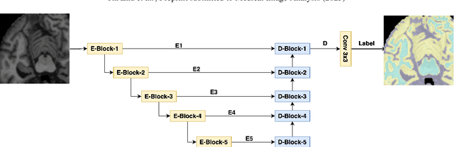 Figure 3 for A residual dense vision transformer for medical image super-resolution with segmentation-based perceptual loss fine-tuning