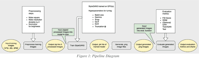 Figure 1 for Synthetic Medical Imaging Generation with Generative Adversarial Networks For Plain Radiographs