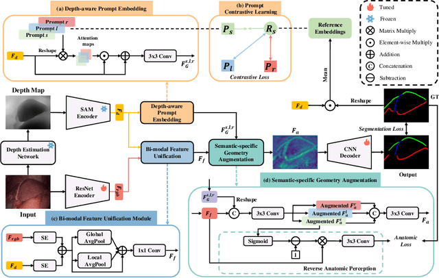 Figure 3 for Depth-Driven Geometric Prompt Learning for Laparoscopic Liver Landmark Detection