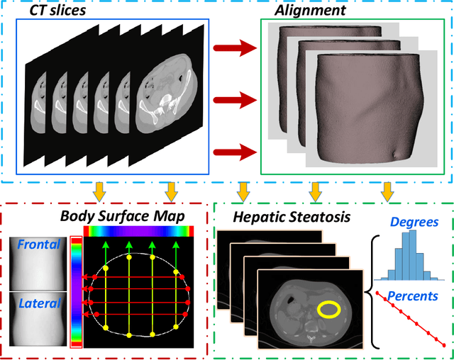 Figure 1 for Liver Fat Quantification Network with Body Shape