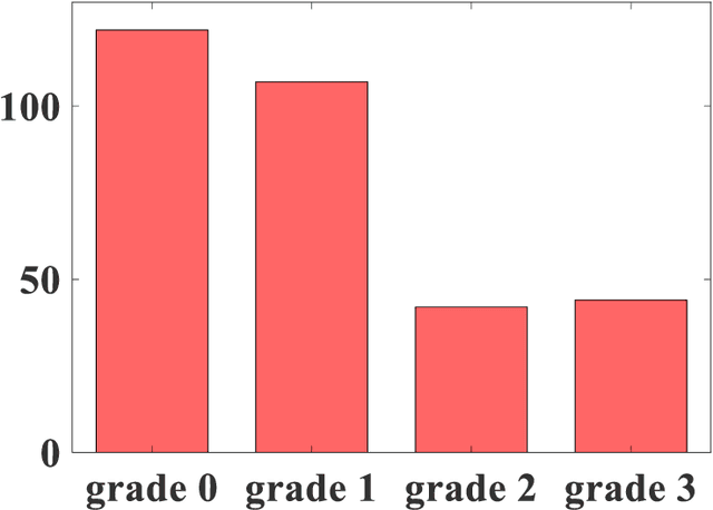 Figure 3 for Liver Fat Quantification Network with Body Shape