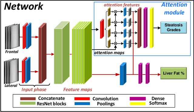 Figure 4 for Liver Fat Quantification Network with Body Shape