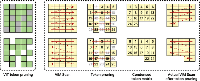 Figure 1 for Exploring Token Pruning in Vision State Space Models