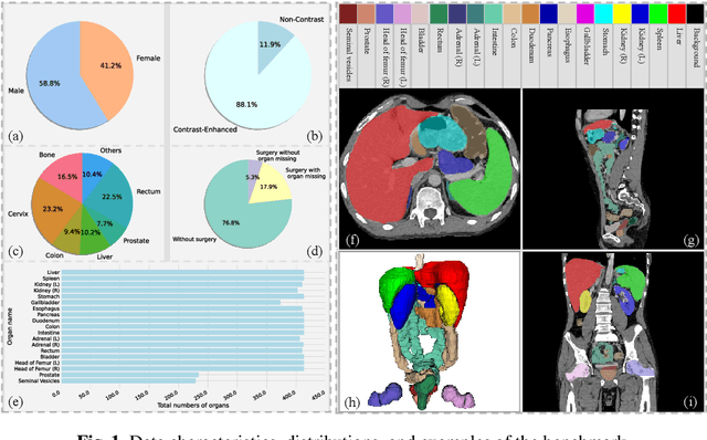 Figure 1 for Rethinking Abdominal Organ Segmentation (RAOS) in the clinical scenario: A robustness evaluation benchmark with challenging cases