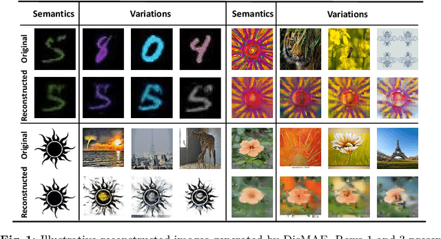 Figure 1 for Disentangling Masked Autoencoders for Unsupervised Domain Generalization