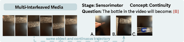 Figure 3 for CogDevelop2K: Reversed Cognitive Development in Multimodal Large Language Models