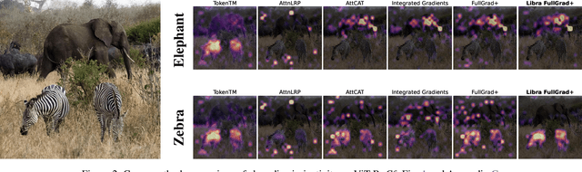 Figure 4 for LibraGrad: Balancing Gradient Flow for Universally Better Vision Transformer Attributions