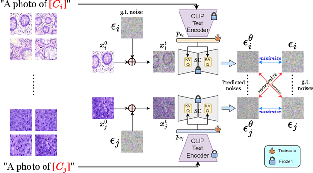 Figure 3 for Towards Generative Class Prompt Learning for Few-shot Visual Recognition
