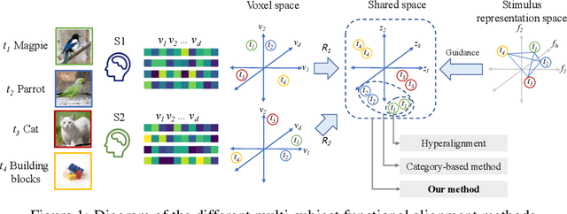 Figure 1 for CLIP-MUSED: CLIP-Guided Multi-Subject Visual Neural Information Semantic Decoding