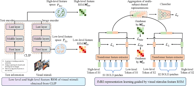 Figure 2 for CLIP-MUSED: CLIP-Guided Multi-Subject Visual Neural Information Semantic Decoding