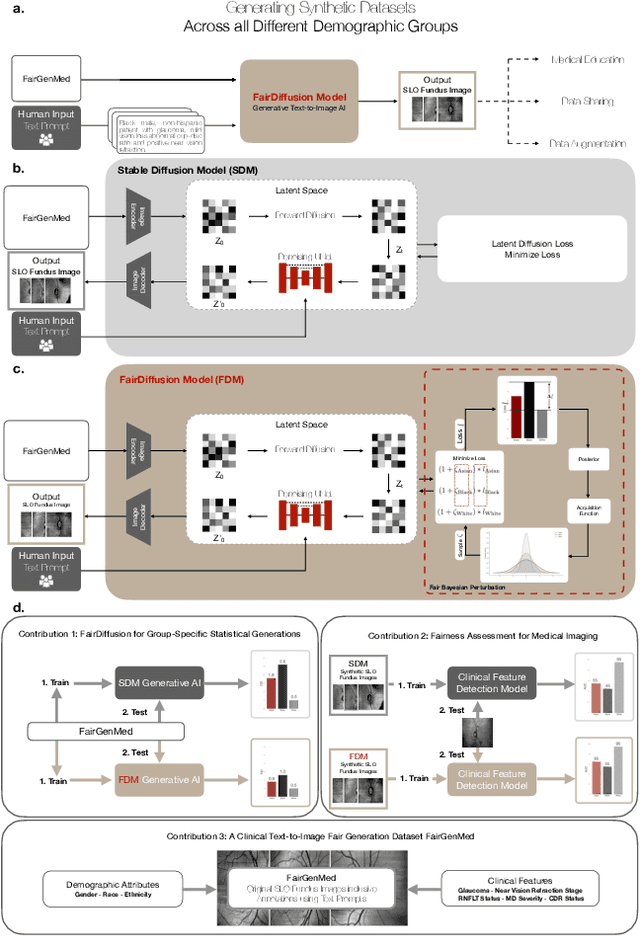 Figure 1 for FairDiffusion: Enhancing Equity in Latent Diffusion Models via Fair Bayesian Perturbation