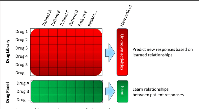 Figure 1 for Personalised Medicine: Establishing predictive machine learning models for drug responses in patient derived cell culture