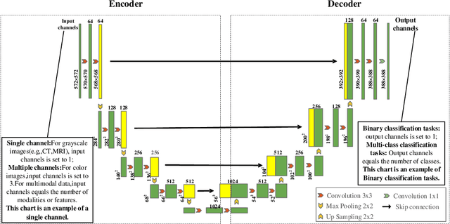 Figure 2 for A Comprehensive Review of U-Net and Its Variants: Advances and Applications in Medical Image Segmentation