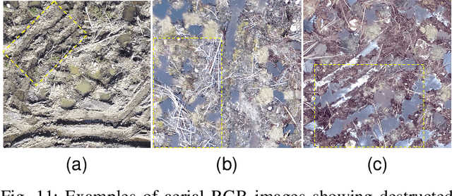 Figure 3 for Automatic counting of planting microsites via local visual detection and global count estimation