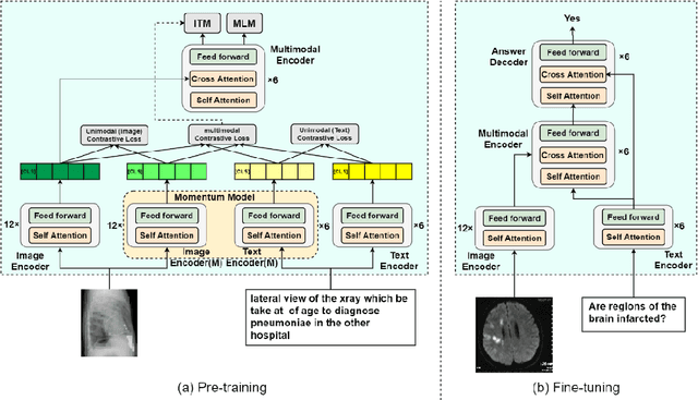 Figure 1 for Masked Vision and Language Pre-training with Unimodal and Multimodal Contrastive Losses for Medical Visual Question Answering