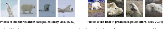 Figure 1 for Do CLIPs Always Generalize Better than ImageNet Models?