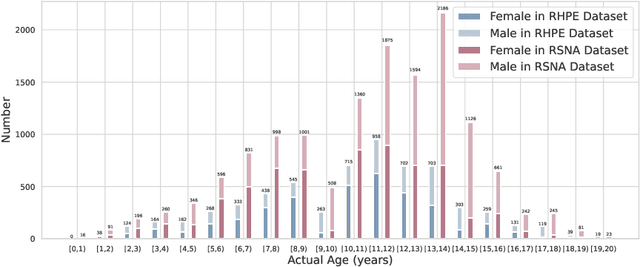 Figure 3 for A two-stream network with global-local feature fusion for bone age assessment