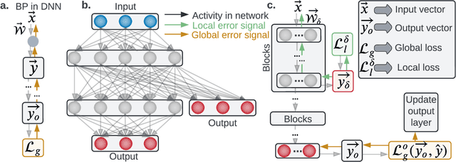 Figure 1 for Unlocking Deep Learning: A BP-Free Approach for Parallel Block-Wise Training of Neural Networks