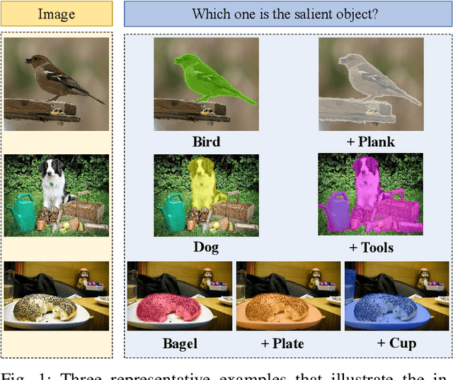 Figure 1 for Pluralistic Salient Object Detection