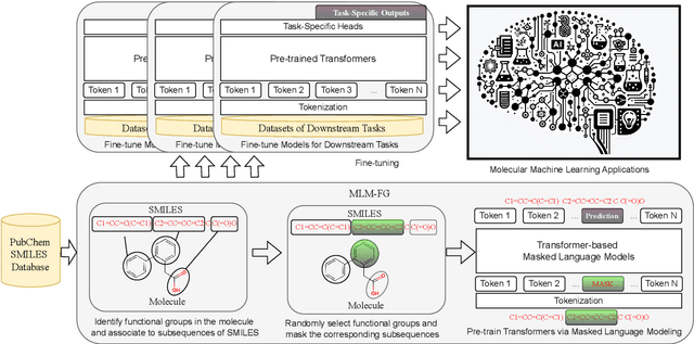 Figure 1 for Pre-trained Molecular Language Models with Random Functional Group Masking