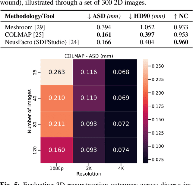 Figure 4 for Syn3DWound: A Synthetic Dataset for 3D Wound Bed Analysis