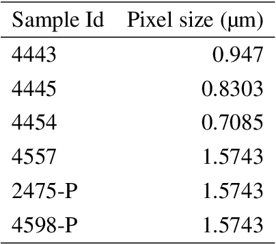 Figure 4 for Generative modeling of the enteric nervous system employing point pattern analysis and graph construction
