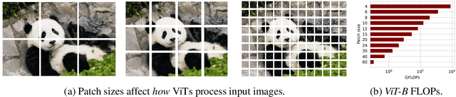 Figure 1 for Navigating Scaling Laws: Accelerating Vision Transformer's Training via Adaptive Strategies