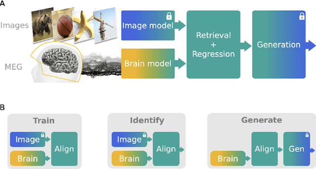 Figure 1 for Brain decoding: toward real-time reconstruction of visual perception