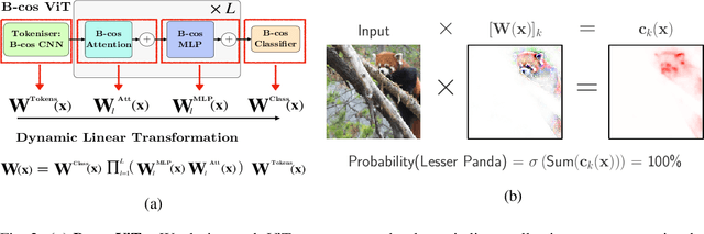 Figure 2 for Holistically Explainable Vision Transformers