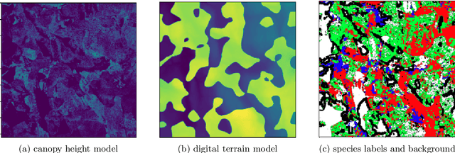 Figure 2 for Lidar-based Norwegian tree species detection using deep learning
