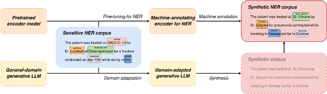 Figure 1 for Data-Constrained Synthesis of Training Data for De-Identification