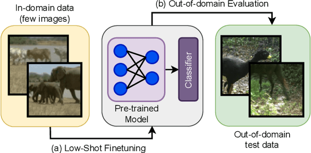 Figure 1 for Benchmarking Low-Shot Robustness to Natural Distribution Shifts