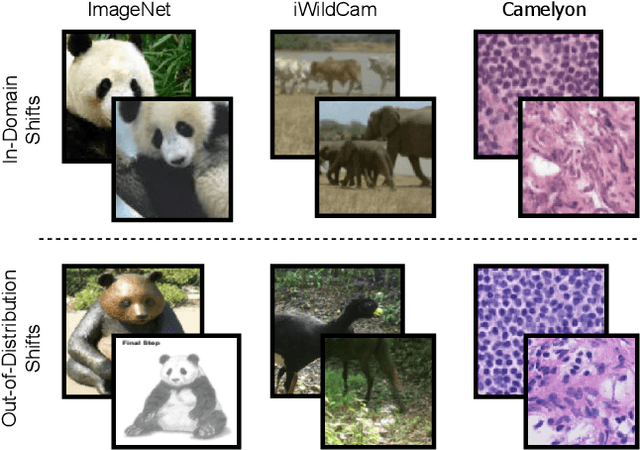 Figure 3 for Benchmarking Low-Shot Robustness to Natural Distribution Shifts