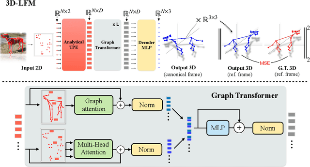 Figure 2 for 3D-LFM: Lifting Foundation Model