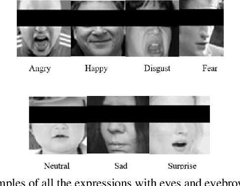 Figure 1 for Facial Emotion Recognition in VR Games