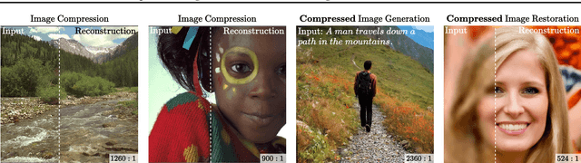 Figure 1 for Compressed Image Generation with Denoising Diffusion Codebook Models