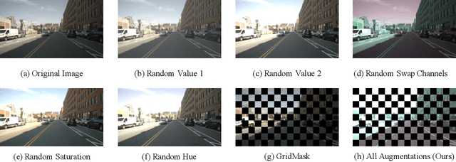 Figure 3 for Team Samsung-RAL: Technical Report for 2024 RoboDrive Challenge-Robust Map Segmentation Track