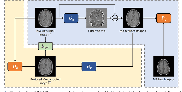 Figure 1 for UNAEN: Unsupervised Abnomality Extraction Network for MRI Motion Artifact Reduction