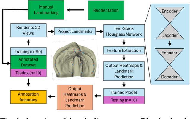 Figure 3 for Geometric Deep Learning for Automated Landmarking of Maxillary Arches on 3D Oral Scans from Newborns with Cleft Lip and Palate