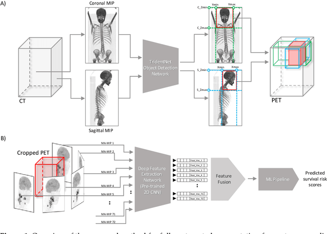 Figure 2 for Segmentation-Free Outcome Prediction in Head and Neck Cancer: Deep Learning-based Feature Extraction from Multi-Angle Maximum Intensity Projections (MA-MIPs) of PET Images